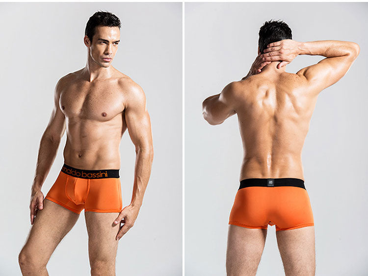 Men's breathable modal trunk underwear in various colors, featuring comfortable fit and supportive design by The Clothing Company Sydney.