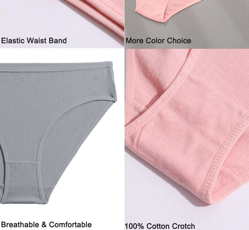 Three-pack cotton mix panties with jacquard design, solid colors, and comfortable briefs from The Clothing Company Sydney.