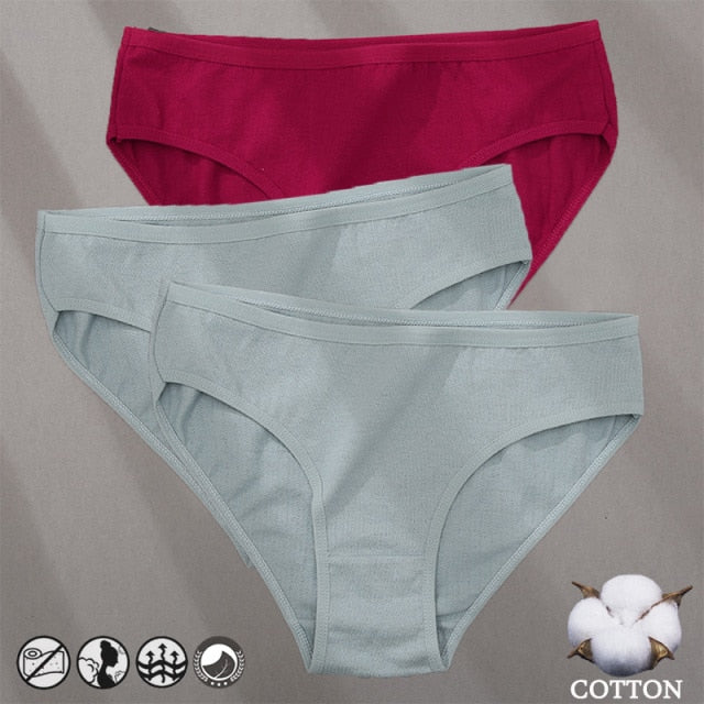 Three-pack cotton mix panties with jacquard pattern, solid colors, and comfortable underwear design from The Clothing Company Sydney.