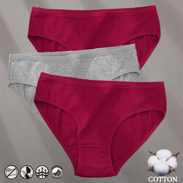 Three-pack of cotton mix panties with jacquard pattern, solid colors, and comfortable brief style from The Clothing Company Sydney.