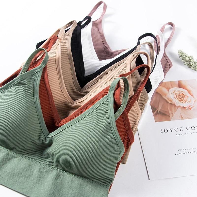 Two seamless, wire-free U-type backless bralettes from The Clothing Company Sydney, featuring push-up support and comfortable tops.