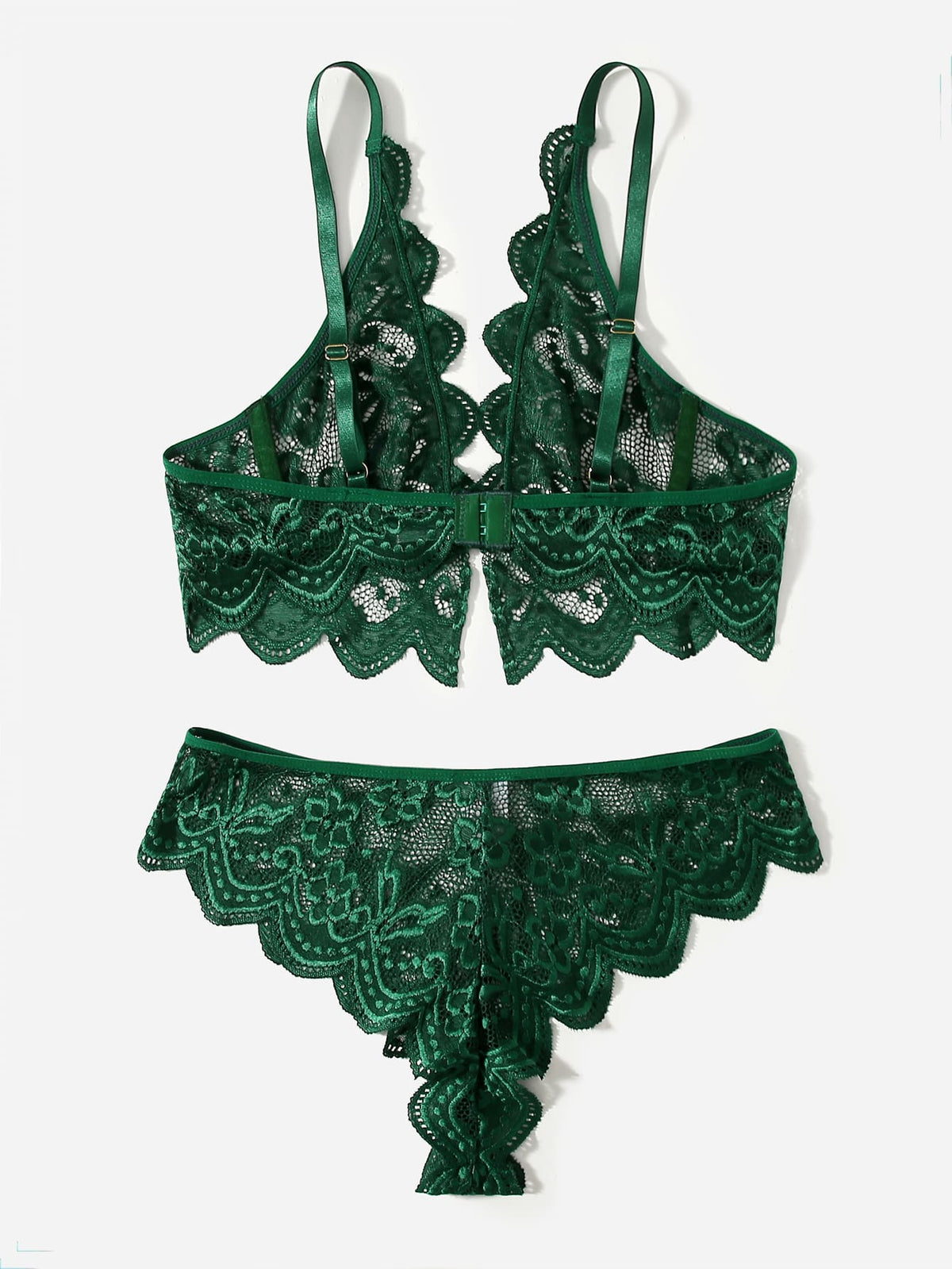 Two-piece sensual lace lingerie set with deep-V design, see-through briefs, seamless underwear from The Clothing Company Sydney.