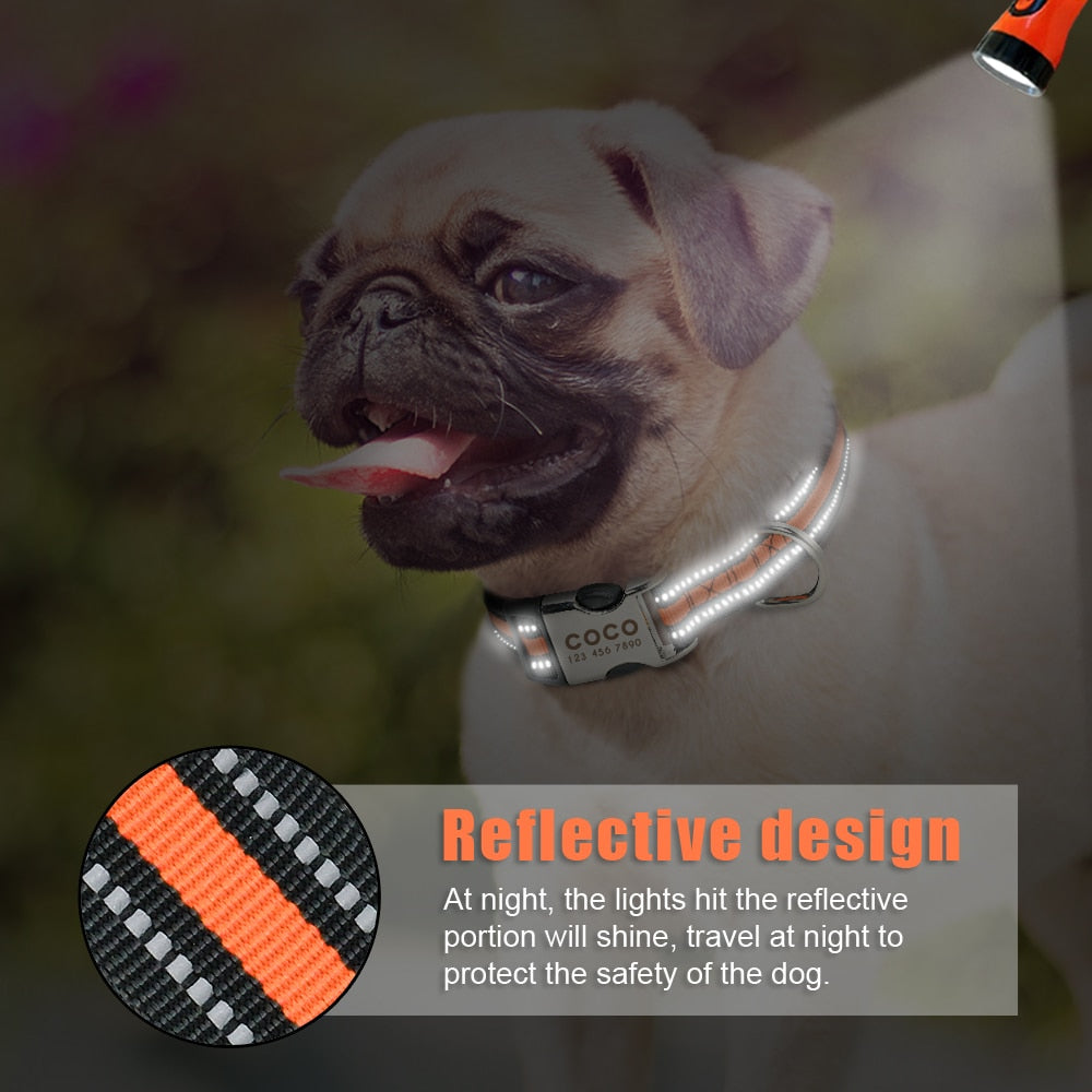 Nylon Personalized Pet Collar Engraved ID Tag Nameplate Reflective for Small Medium Large Dogs The Clothing Company Sydney
