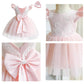 Cute Baby Girl's Tutu Dress Embroidery Lace Flower Princess Gown Birthday Party Newborn Formal Dress