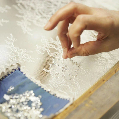 Spaghetti Straps Mesh See Through Exposed Bonin Wedding Dresses Backless Princess Lace Bridal Dress The Clothing Company Sydney