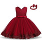 Cute Baby Girl's Tutu Dress Embroidery Lace Flower Princess Gown Birthday Party Newborn Formal Dress