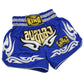 Printed Muay Thai MMA Boxing Fight Shorts