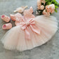 Cute Baby Girl's Tutu Dress Embroidery Lace Flower Princess Gown Birthday Party Newborn Formal Dress The Clothing Company Sydney