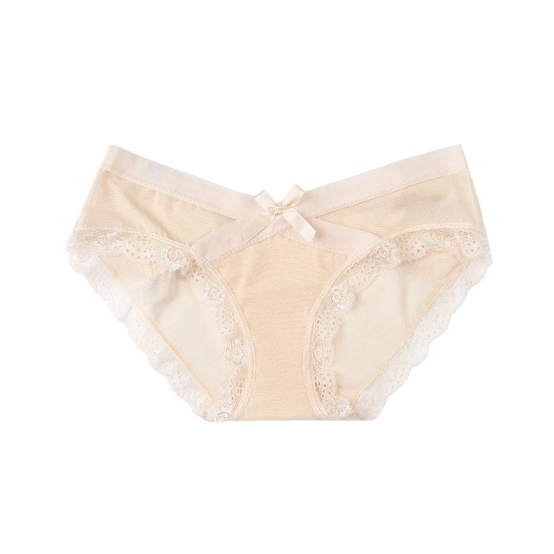 Mesh Underwear Lace Panties  Briefs Mid-Rise Underwear Lingerie Briefs The Clothing Company Sydney