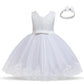 Cute Baby Girl's Tutu Dress Embroidery Lace Flower Princess Gown Birthday Party Newborn Formal Dress