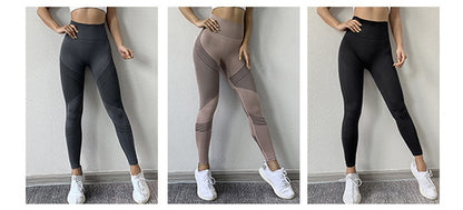 Yoga Seamless Leggings Gym Yoga Pants Women's High Waist Yoga Leggings Sports Fitness Clothing Sport Pants Sportswear The Clothing Company Sydney