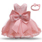 Cute Baby Girl's Tutu Dress Embroidery Lace Flower Princess Gown Birthday Party Newborn Formal Dress The Clothing Company Sydney