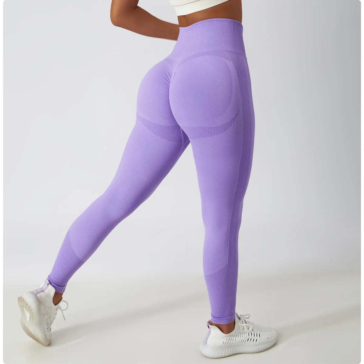 Women's Ribbed Seamless Yoga Pants High Waist Gym Leggings Sports Fitness Legging Running Tights The Clothing Company Sydney