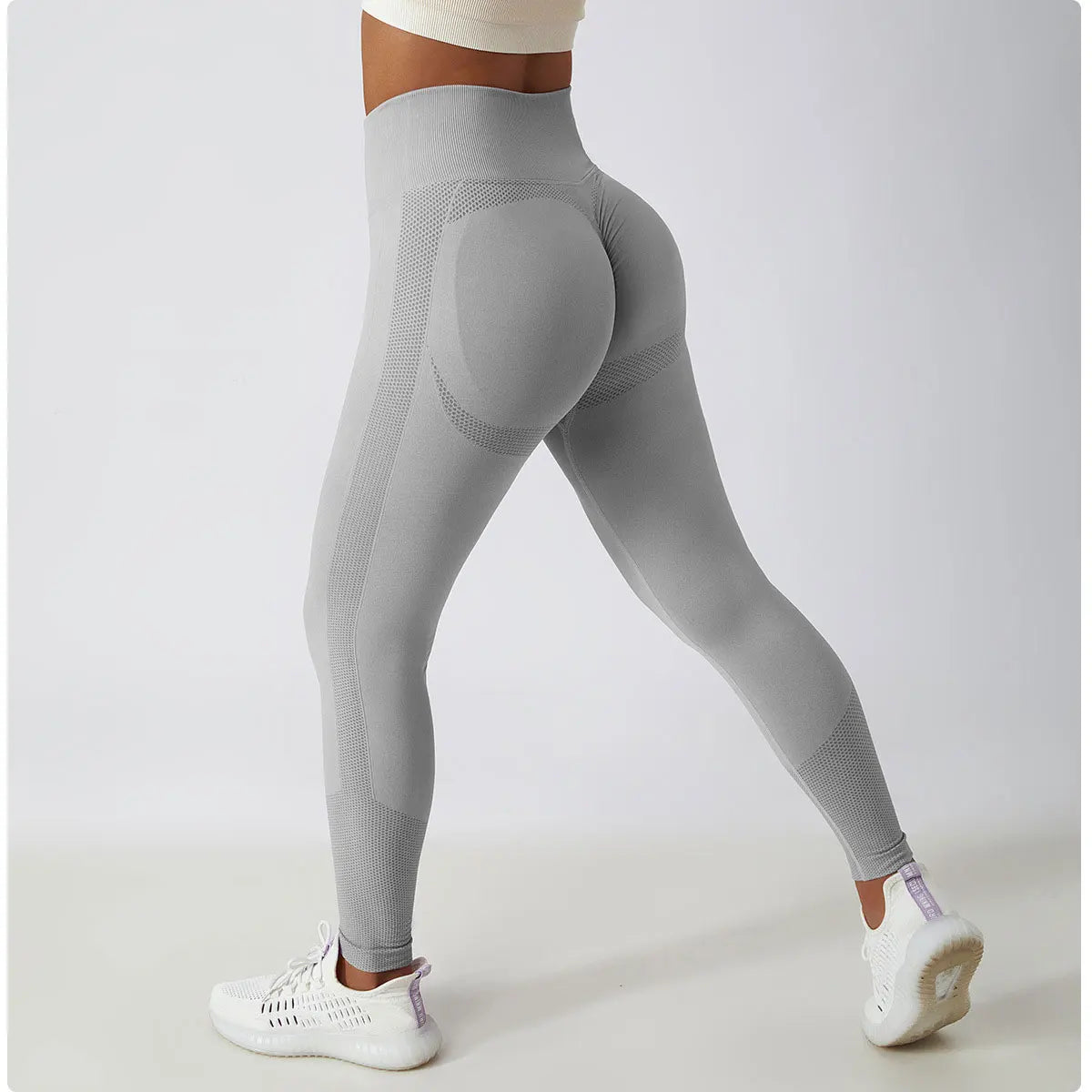 Women's Ribbed Seamless Yoga Pants High Waist Gym Leggings Sports Fitness Legging Running Tights The Clothing Company Sydney