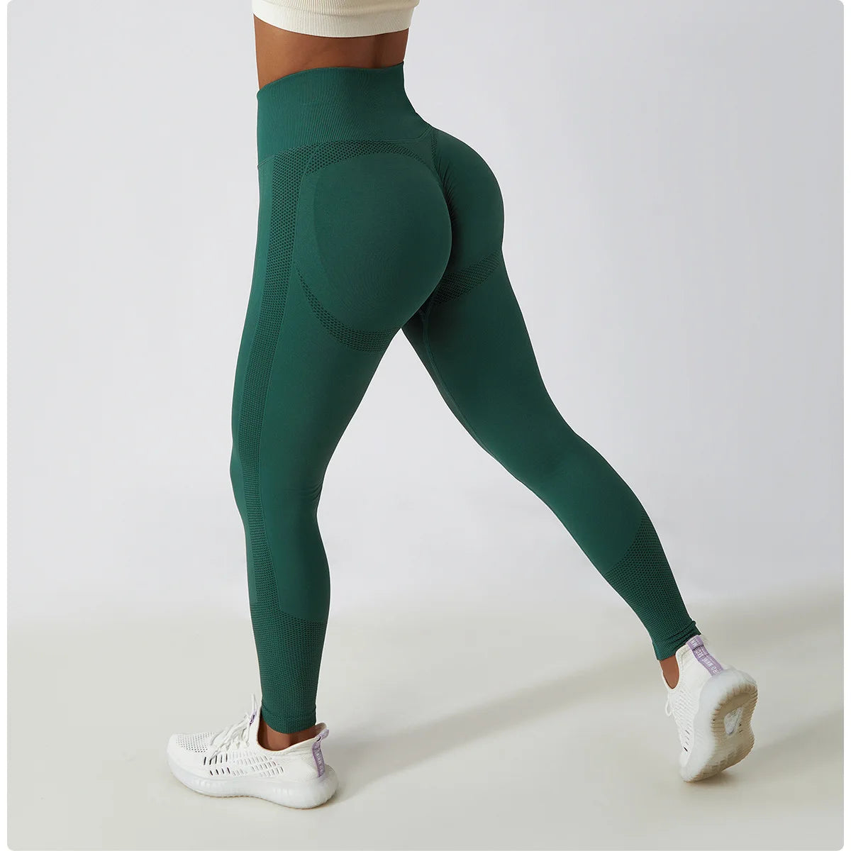 Women's Ribbed Seamless Yoga Pants High Waist Gym Leggings Sports Fitness Legging Running Tights The Clothing Company Sydney