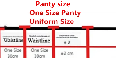 2 Piece Pull-up Bra with Bow Breathable Lace Bra Anti-slip Cup Date Night Set The Clothing Company Sydney