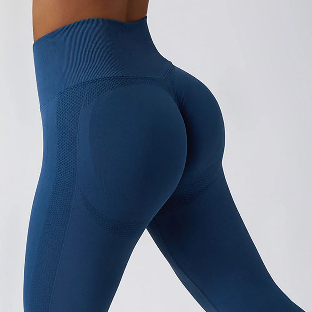 Women's Ribbed Seamless Yoga Pants High Waist Gym Leggings Sports Fitness Legging Running Tights The Clothing Company Sydney