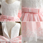 Cute Baby Girl's Tutu Dress Embroidery Lace Flower Princess Gown Birthday Party Newborn Formal Dress