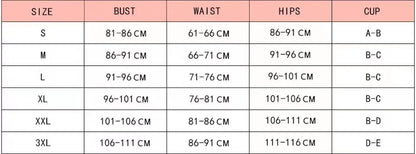 2 Piece Women Swimsuit Beach Vacation Swimwear Leopard Printed Bikini Set Beachwear Swimsuit Thong Bathing Suit The Clothing Company Sydney