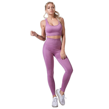 2 Piece Set Workout Gym Clothes For Women Yoga Set Solid Colour Fitness Leggings Sportswear Women's Yoga Wear Sport Bra And Pants The Clothing Company Sydney