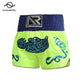 Muay Thai Shorts Embroidery Boxing Shorts Womens Mens Kids Kickboxing Fight Shorts Free Combat Grappling Martial Arts Clothing The Clothing Company Sydney