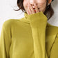 Autumn Winter Sweater Turtleneck Slim Fit Basic Pullovers Fashion Knit Tops Bottoming Women's Sweater Stretch Jumpers The Clothing Company Sydney