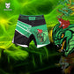 MMA Shorts Tiger Muay Thai Pants Kickboxing Boxing Training Trunks Fitness Gym Mixed Martial Arts Jiu Jitsu Fight Wear The Clothing Company Sydney