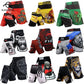 MMA Shorts Tiger Muay Thai Pants Kickboxing Boxing Training Trunks Fitness Gym Mixed Martial Arts Jiu Jitsu Fight Wear The Clothing Company Sydney