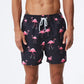 Summer Mens Beach Print Shorts Surfing Swimwear Fitness Workout Trunks Sportswear With Pockets Pants The Clothing Company Sydney