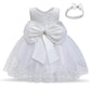 Cute Baby Girl's Tutu Dress Embroidery Lace Flower Princess Gown Birthday Party Newborn Formal Dress