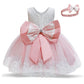 Cute Baby Girl's Tutu Dress Embroidery Lace Flower Princess Gown Birthday Party Newborn Formal Dress The Clothing Company Sydney