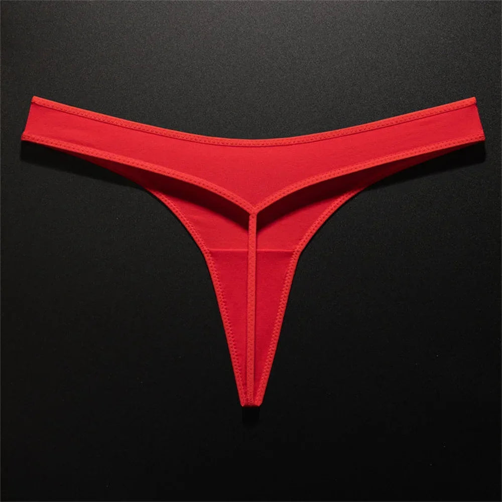 T Back G String Panties Low Waist Seamless Thong Underpants Underwear Intimates Lingerie Briefs The Clothing Company Sydney