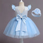 Cute Baby Girl's Tutu Dress Embroidery Lace Flower Princess Gown Birthday Party Newborn Formal Dress The Clothing Company Sydney