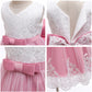 Cute Baby Girl's Tutu Dress Embroidery Lace Flower Princess Gown Birthday Party Newborn Formal Dress