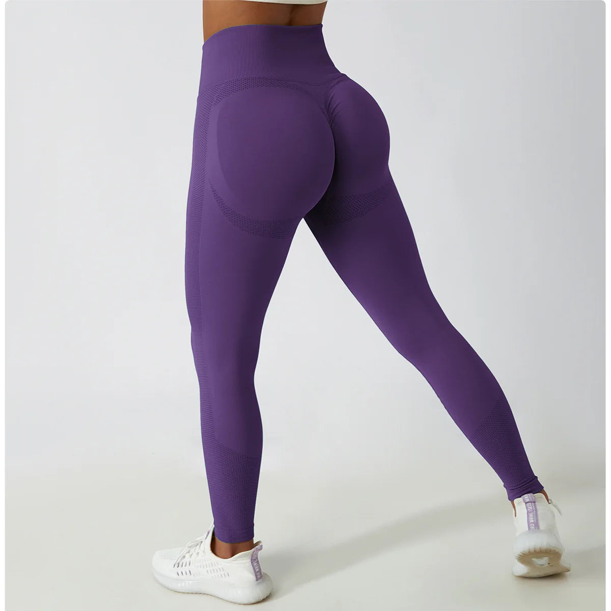 Women's Ribbed Seamless Yoga Pants High Waist Gym Leggings Sports Fitness Legging Running Tights The Clothing Company Sydney