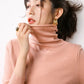 Autumn Winter Sweater Turtleneck Slim Fit Basic Pullovers Fashion Knit Tops Bottoming Women's Sweater Stretch Jumpers The Clothing Company Sydney