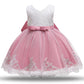 Cute Baby Girl's Tutu Dress Embroidery Lace Flower Princess Gown Birthday Party Newborn Formal Dress