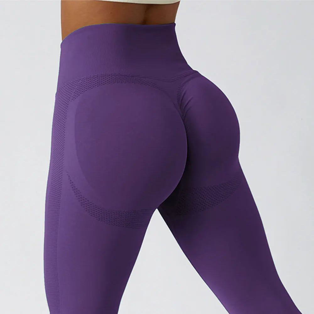 Women's Ribbed Seamless Yoga Pants High Waist Gym Leggings Sports Fitness Legging Running Tights The Clothing Company Sydney