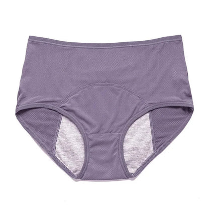 Plus Size Mesh Period Underwear Women's Special Menstrual Period Panties Class a Mid Waist Leak Proof Period Panties The Clothing Company Sydney