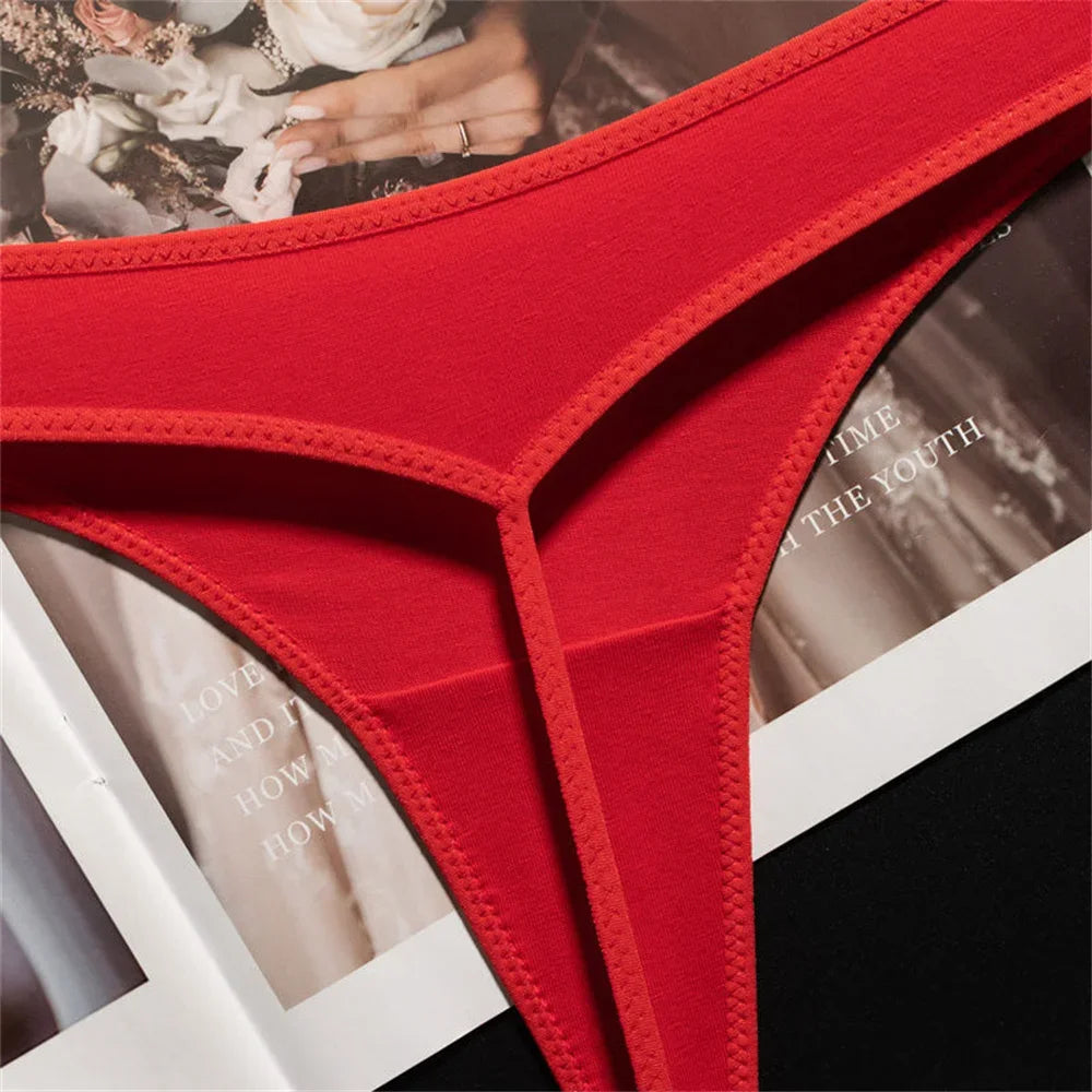 T Back G String Panties Low Waist Seamless Thong Underpants Underwear Intimates Lingerie Briefs The Clothing Company Sydney
