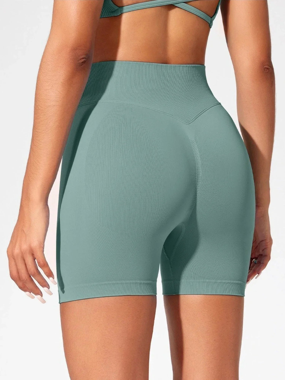 Women's Seamless High Waist Gym Slim Fit High Elastic Yoga Shorts for Fitness Training Running & Cycling Shorts The Clothing Company Sydney