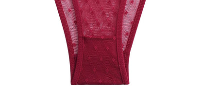 4 Pack Lace Panties Underwear Mesh Transparent Lingerie Soft Intimate Underpants Plus Size Underwear The Clothing Company Sydney