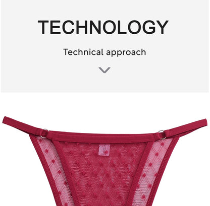 4 Pack Lace Panties Underwear Mesh Transparent Lingerie Soft Intimate Underpants Plus Size Underwear The Clothing Company Sydney