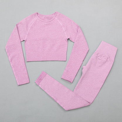 2 Piece High Waist Sports Legging Gym Women's sportswear Seamless Fitness Yoga Suit High Stretchy Workout Padded Sports Bra Leggings Set The Clothing Company Sydney