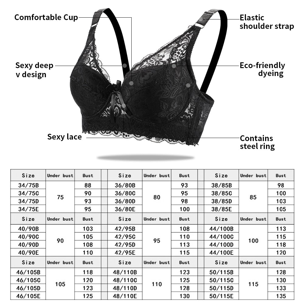 2 Piece Lace Bra Push Up Bras Underwear Bralette Lingerie Plus Size Tops Brassiere BH Backless Bras The Clothing Company Sydney