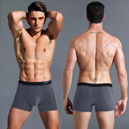 4 Pack Boxer Shorts Underpants Men's Panties Men Boxer Underwear 100% Cotton Boxershorts Trunks  Set The Clothing Company Sydney