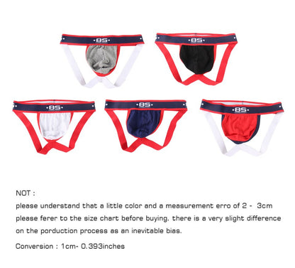 Men's Mesh Jockstrap Underwear G-Strings Thongs Sexy  Gay Penis pouch bikini buttocks Hollow thong men underwear The Clothing Company Sydney