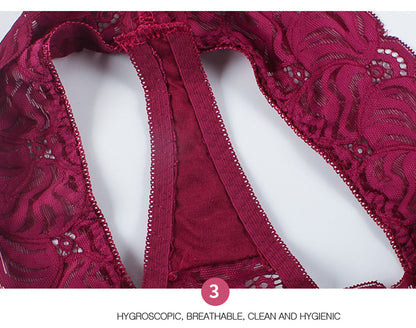 Lace Low-waist Briefs Breathable Embroidery Underwear Transparent Panties G String Underpant Lingerie The Clothing Company Sydney