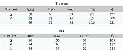 2 Pieces Seamless Fitness Yoga Suit Gym Push Up Clothes Workout Sport Set Padded Sports Bra High Waist Legging Sportswear The Clothing Company Sydney