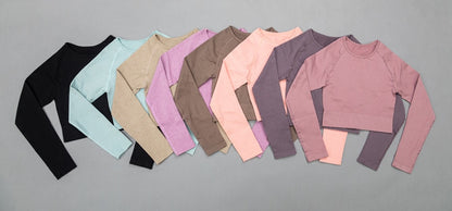 2 Piece High Waist Sports Legging Gym Women's sportswear Seamless Fitness Yoga Suit High Stretchy Workout Padded Sports Bra Leggings Set The Clothing Company Sydney